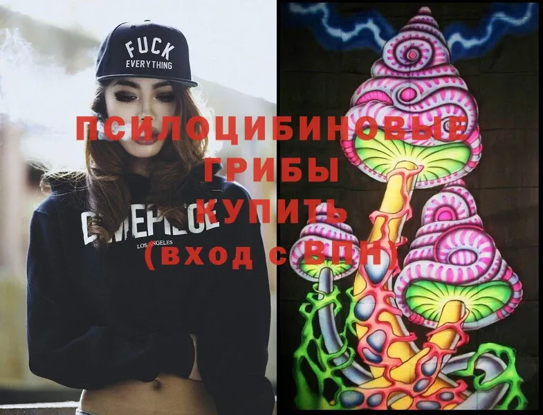 Галлюциногенные грибы Cubensis  Кола 